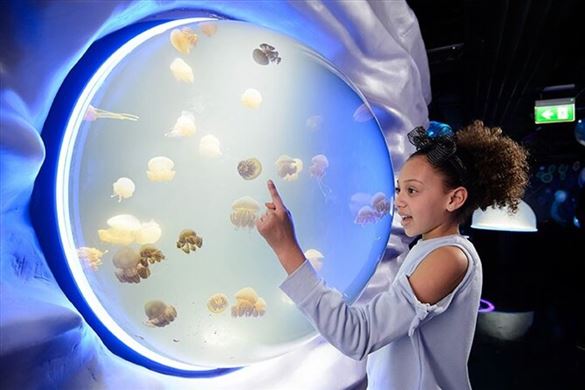 SEA LIFE London Aquarium and 2 Course Lunch for Two