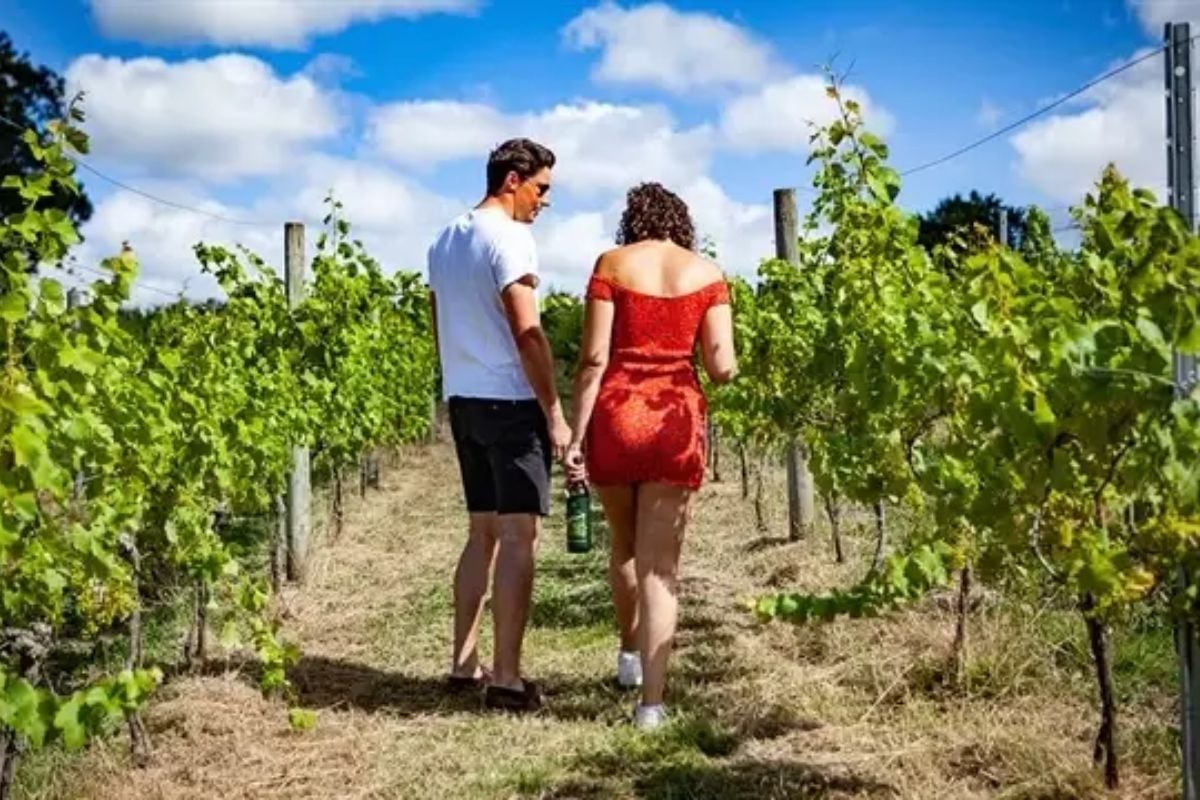 Sedlescombe Organic Vineyard Tour and Tasting