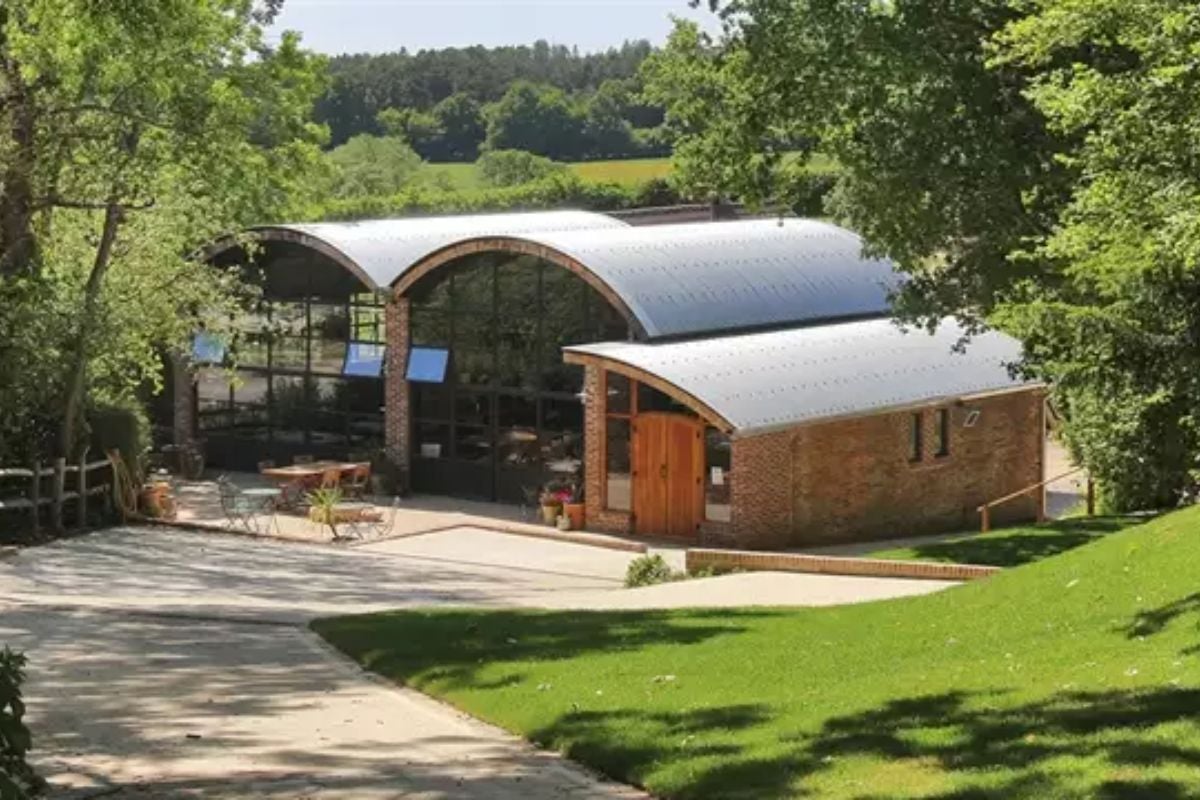 Sedlescombe Organic Vineyard Tour and Tasting with Cream Tea
