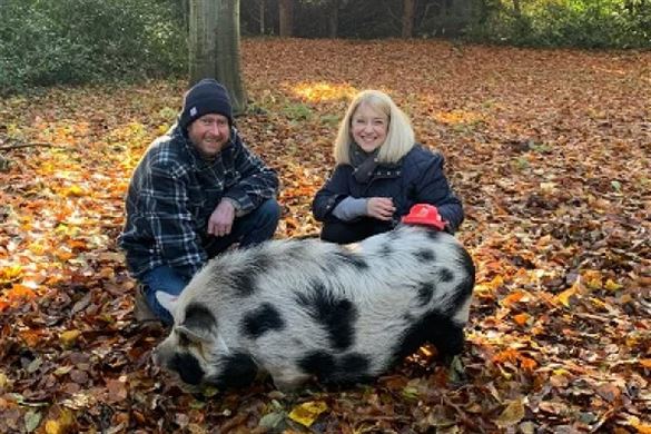 Norfolk Shepherds Hut Two Night Break with Animal Encounter