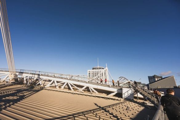 Zip World Cardiff Stadium Walk for One