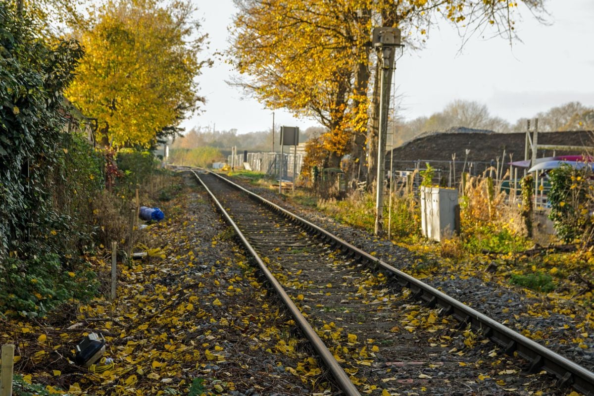Buckinghamshire Railway Steam Train Day with Afternoon Tea