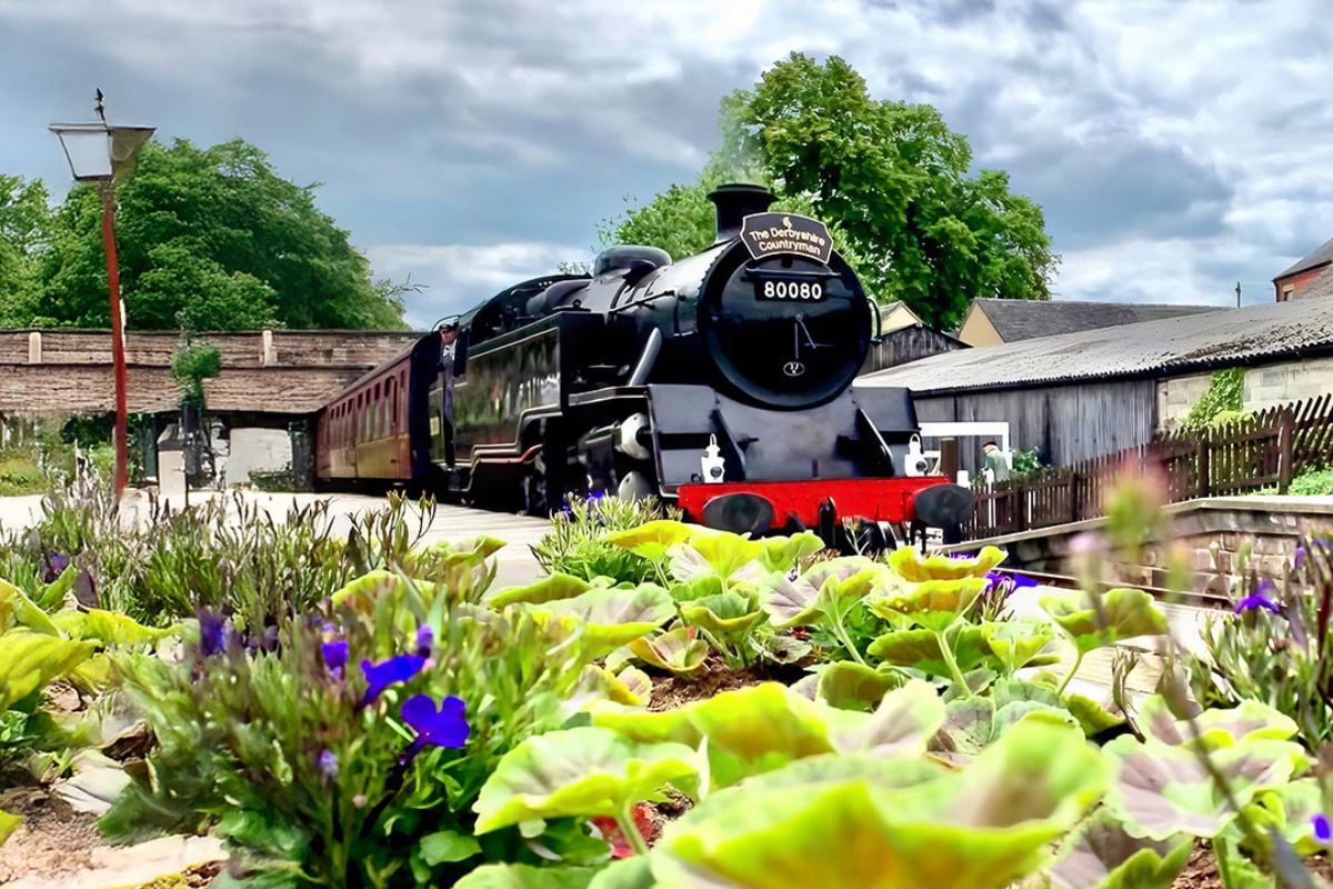 'Summer Special' Vintage Bus and Steam Train Day Trip