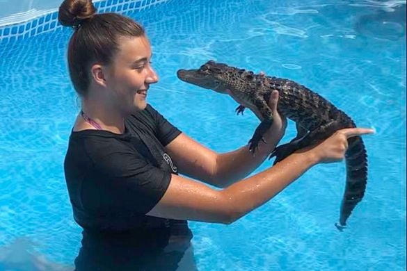 Swim with a Crocodile For One - Bristol