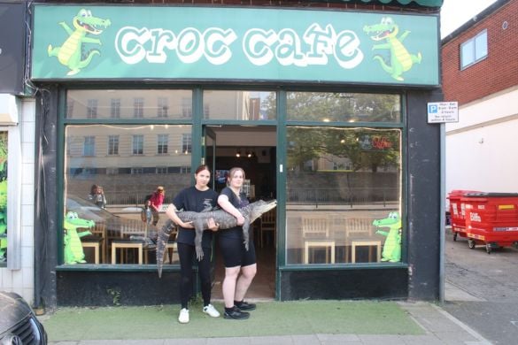 Swim with a Crocodile For One - Bristol