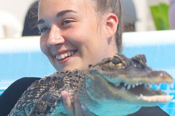 Swim with a Crocodile For One - Bristol