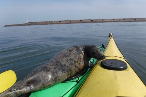Canoeing and Kayaking Taster Session - Sunderland