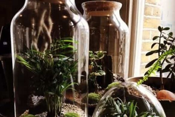 Terrarium Masterclass London