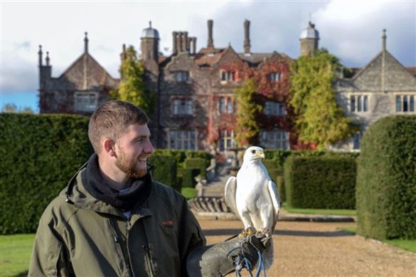 The Big Four Falconry Experience - Kent