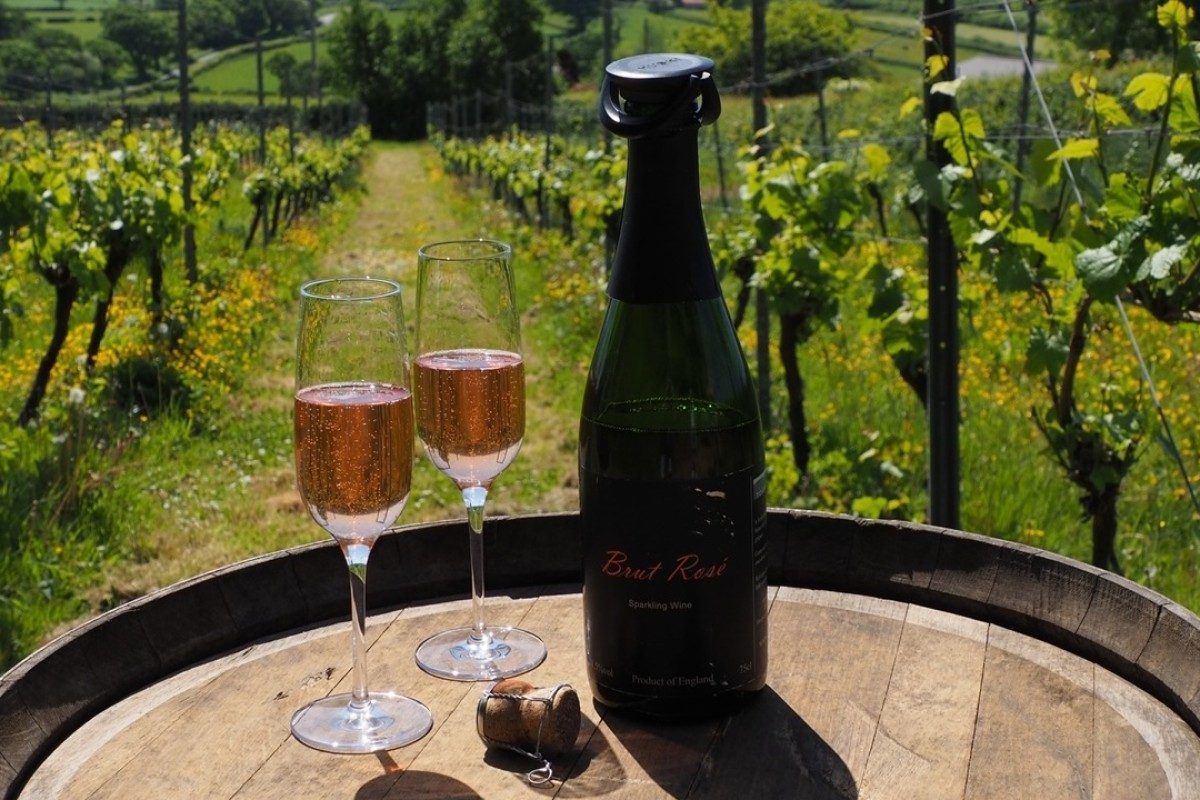 Torview Vineyards Tour and Wine Tasting for Two