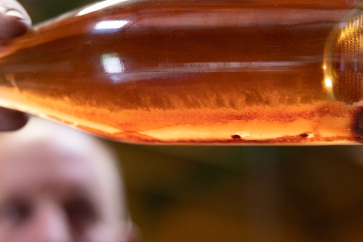Torview Vineyards Tour and Wine Tasting for Two