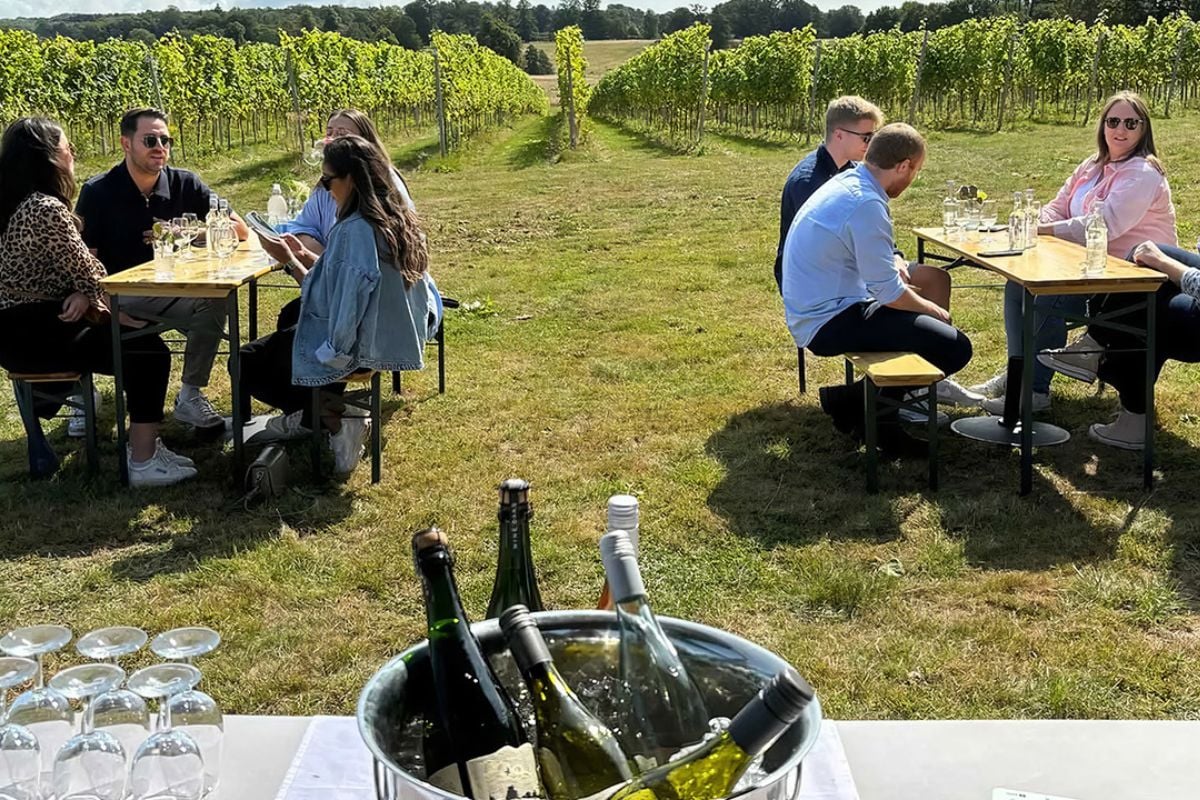 Nine Oaks Vineyard Tour and Tasting with Sharing Board