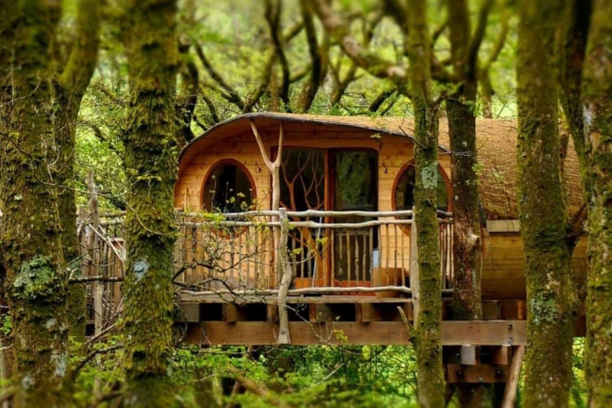 Treehouse Experience For Two