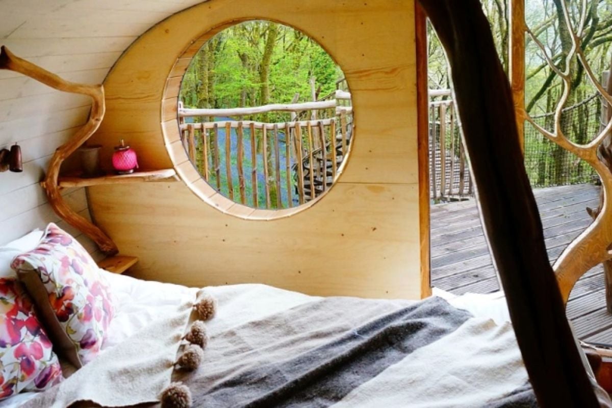Treehouse Experience For Two