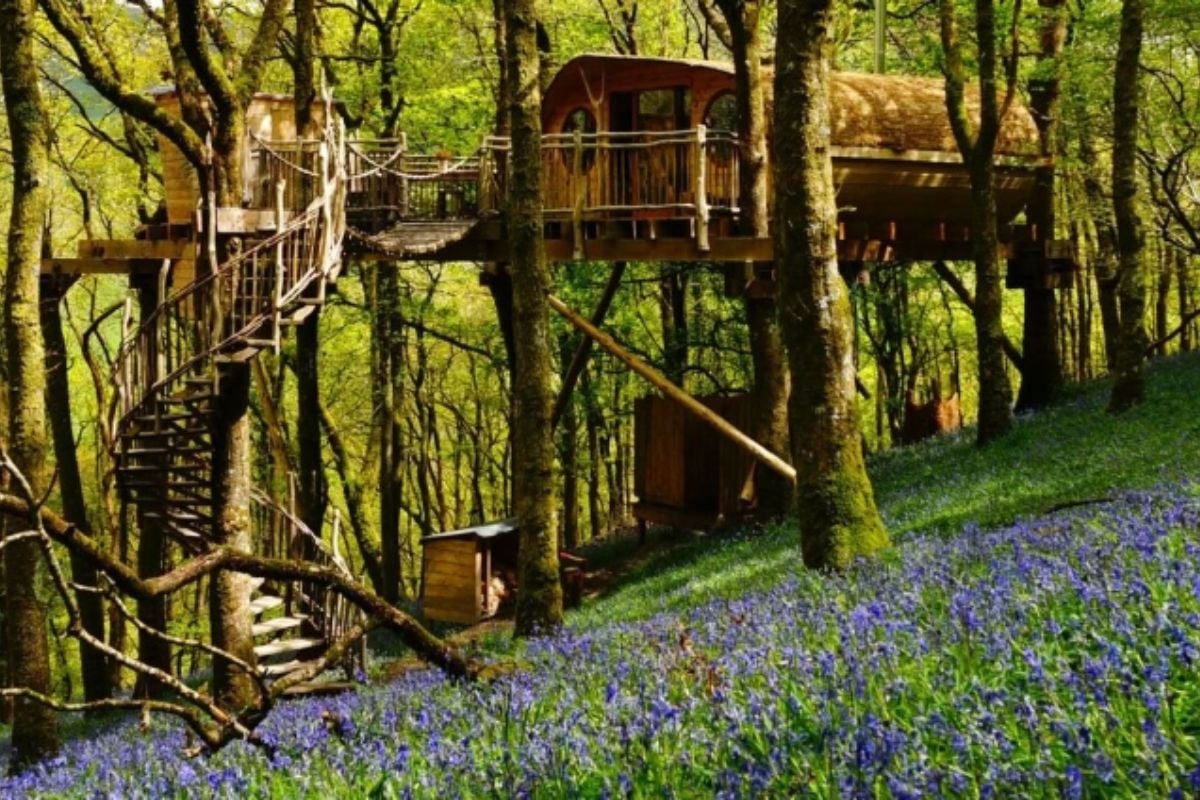 Treehouse Experience For Two