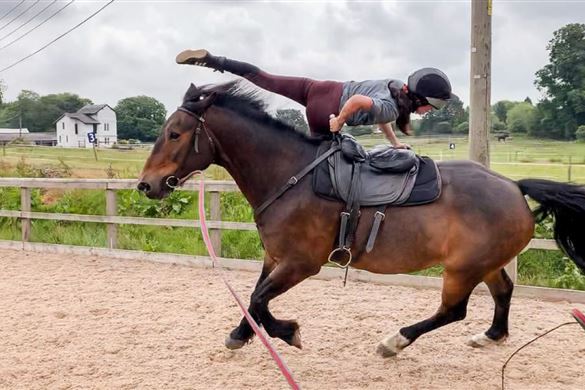 Trick Riding Experience - Warwickshire 