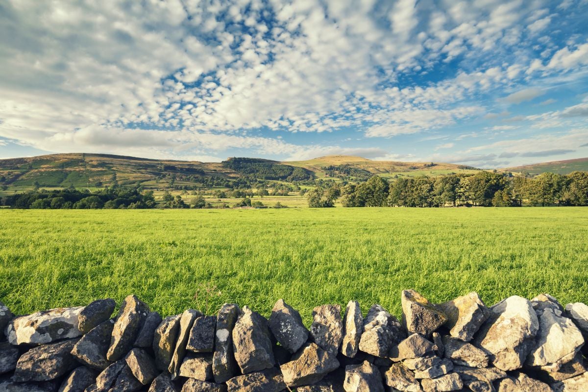 Two Day Dry Stone Walling Course in The Peak District