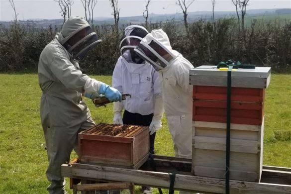 Two Hour Exclusive Beekeeping Session for 4 - Devon