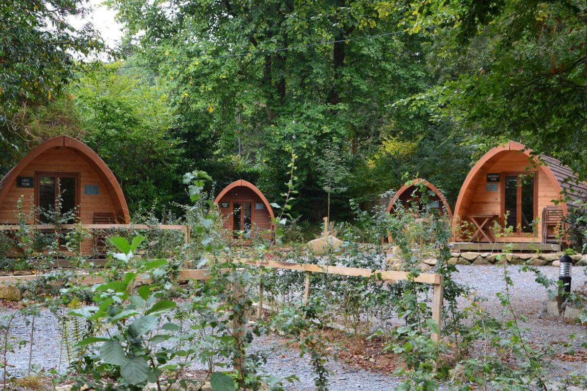 Two Night Glamping and Camping Pod Break