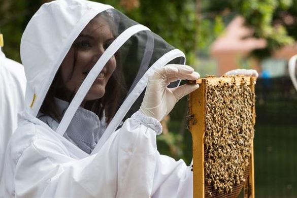 London Beekeeping Craft Beer Tasting