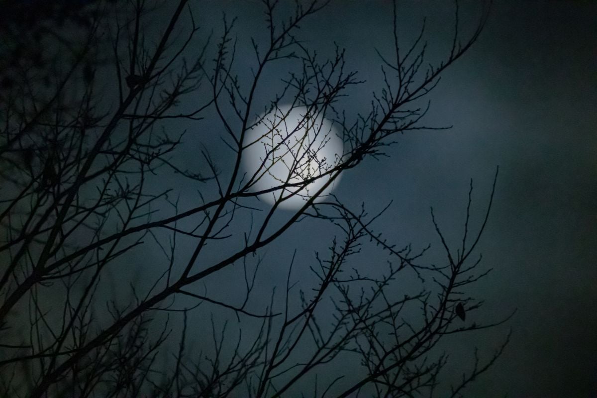 Vampires Lair Escape Room for Two in Manchester