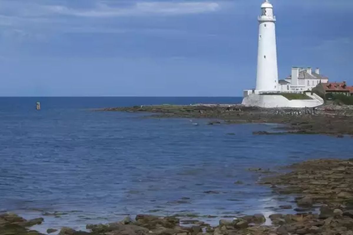Vera Filming Locations Day Tour (Child Ticket 3-15)