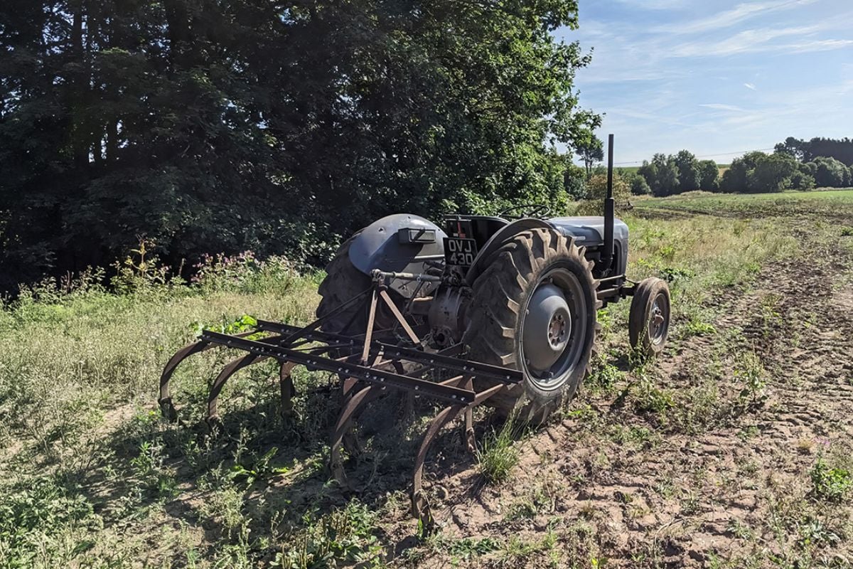 Ultimate Ferguson Tractor Experience: Vintage vs Modern