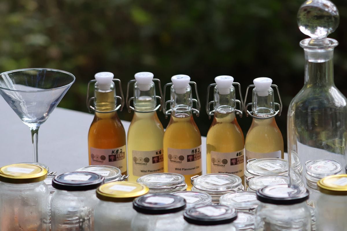 Wild Alcohol and Foraging Workshop