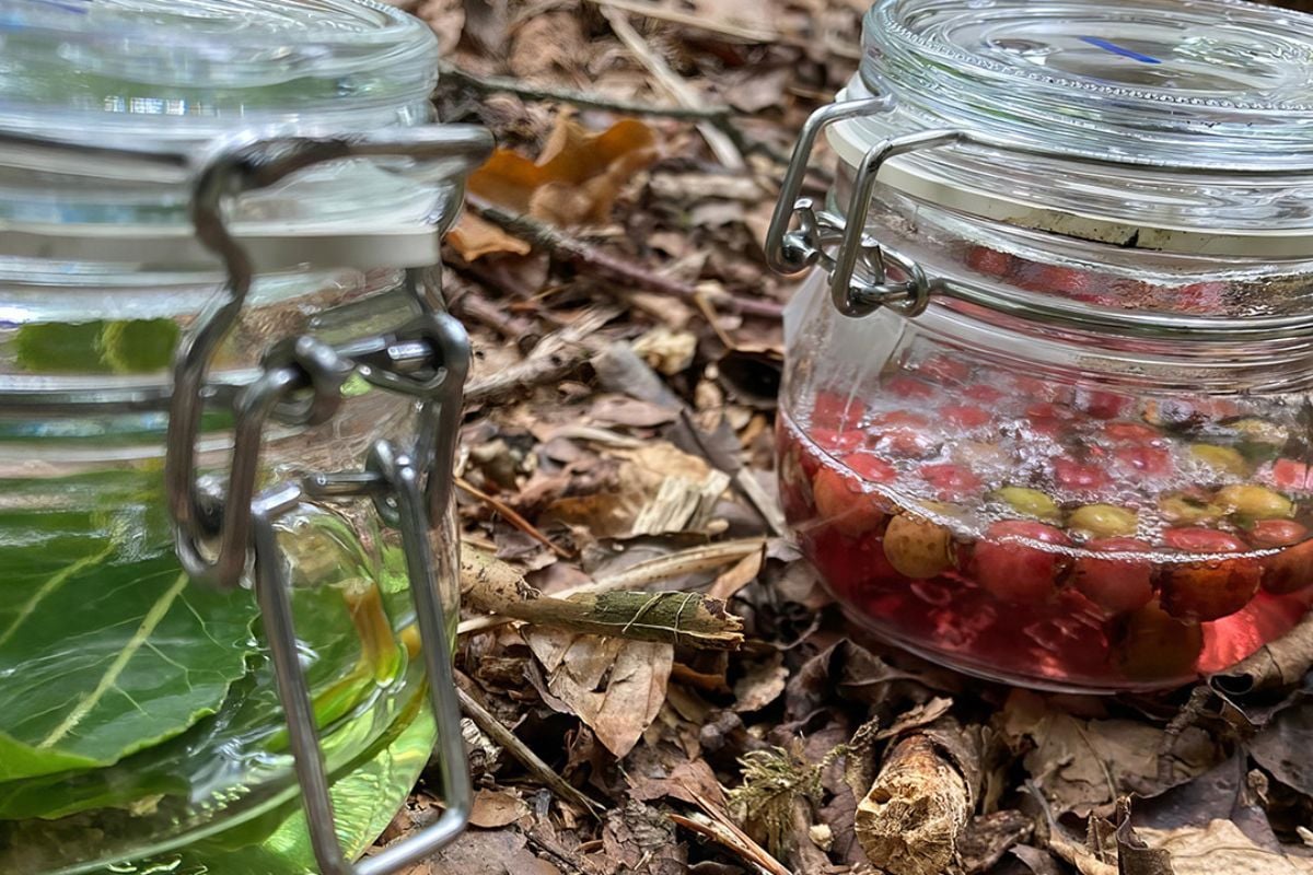 Wild Alcohol and Foraging Workshop