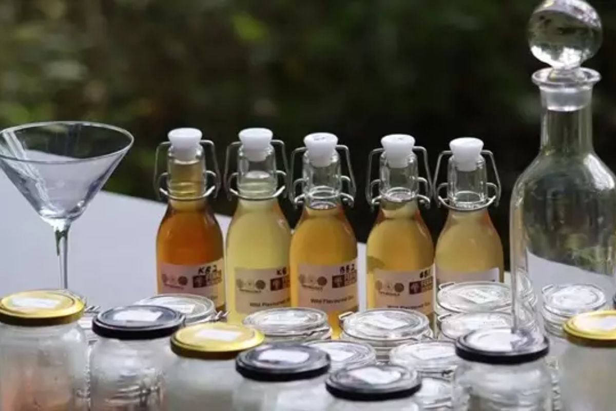Wild Alcohol and Foraging Workshop