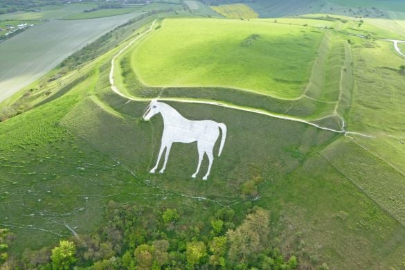 Wiltshire White Horse Helicopter Tour With Cream Tea for Two