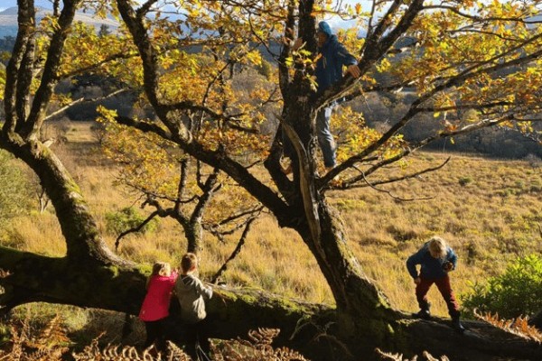Woodland Activities in the Lake District for 2 Children