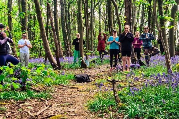 Yoga Forest Day Retreat - Brighton