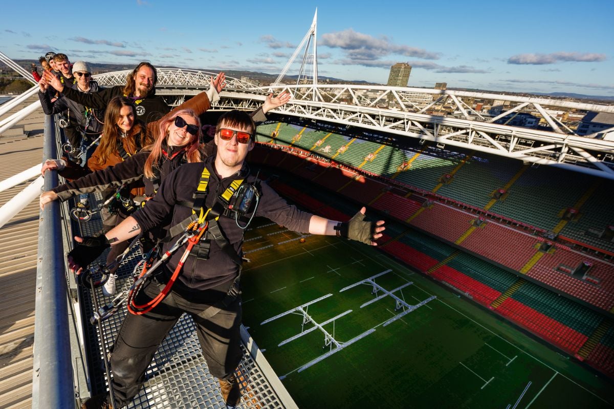 Zip World Cardiff Stadium Walk for One