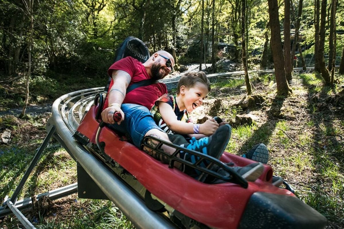 Zip World Fforest Coaster Shared Sledge (1 Adult & 1 Child under 9)