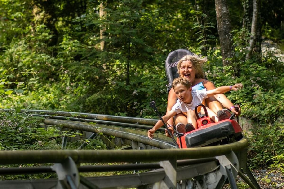 Zip World Fforest Coaster Shared Sledge (1 Adult & 1 Child under 9)