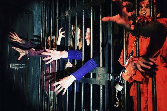 Zombie Infection Experience - Multiple Locations