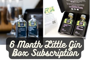 6 Month Little Gin Box Subscription