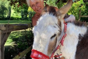 Animal Lovers: Three Animals Experience for Two