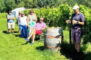 Chafor Wine Estate Vineyard Tour and Tasting
