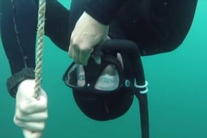 Discover Freediving