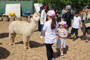Half Day Animal Encounter Experience
