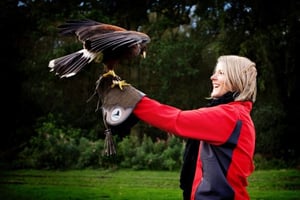 Multi-Activity Adventure - Cheshire