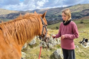 Packhorse Picnic Adventure - Lake District