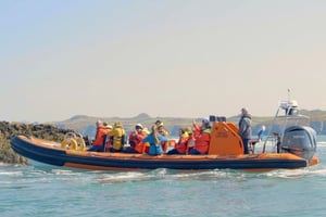 Ramsey Island Voyage Child Ticket Under 5