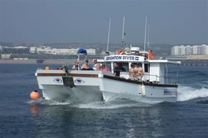 Two Hour Mini Cruise over Brighton and Hove 