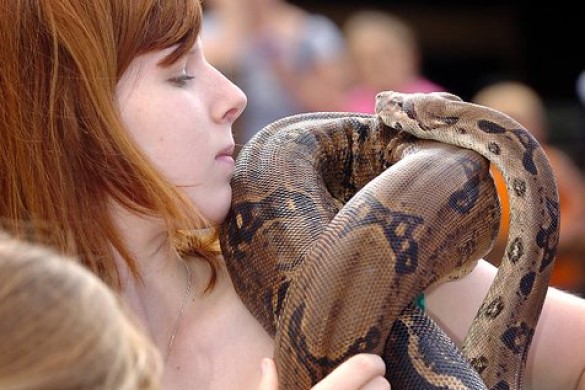 Carnivore Combo Animal Experience for Two