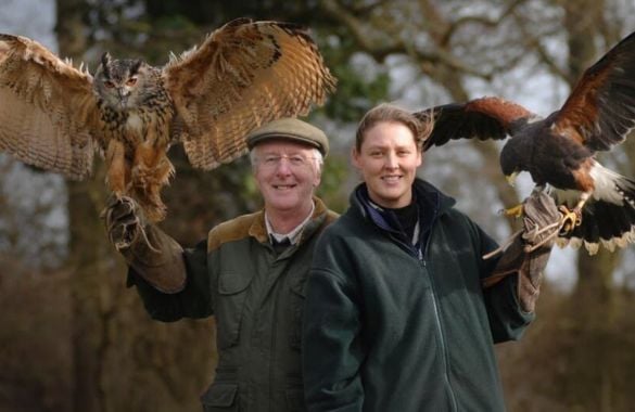 Half Day Falconry at Hatton Country World Warwickshire