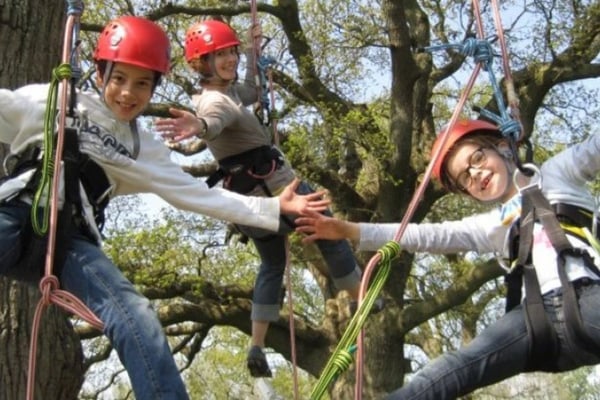 Isle of Wight Tree Climbing Experience