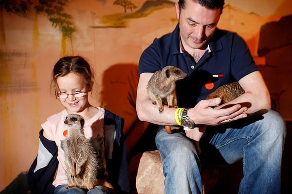 Junior Zoo Keeper for Two Shropshire (Ages 6+)